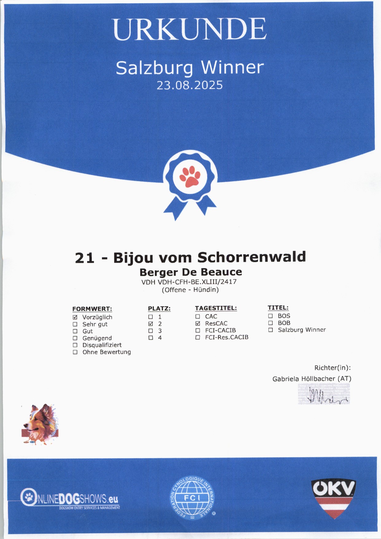 Zertifikate & Urkunden · 3