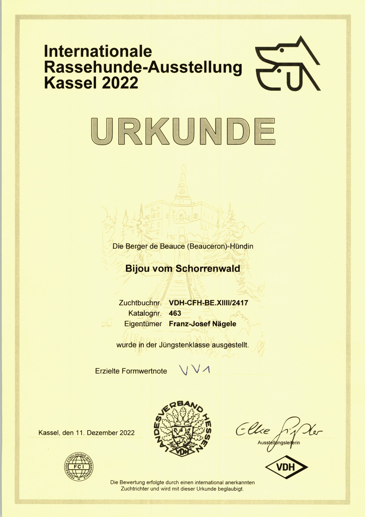 Zertifikate & Urkunden · 6