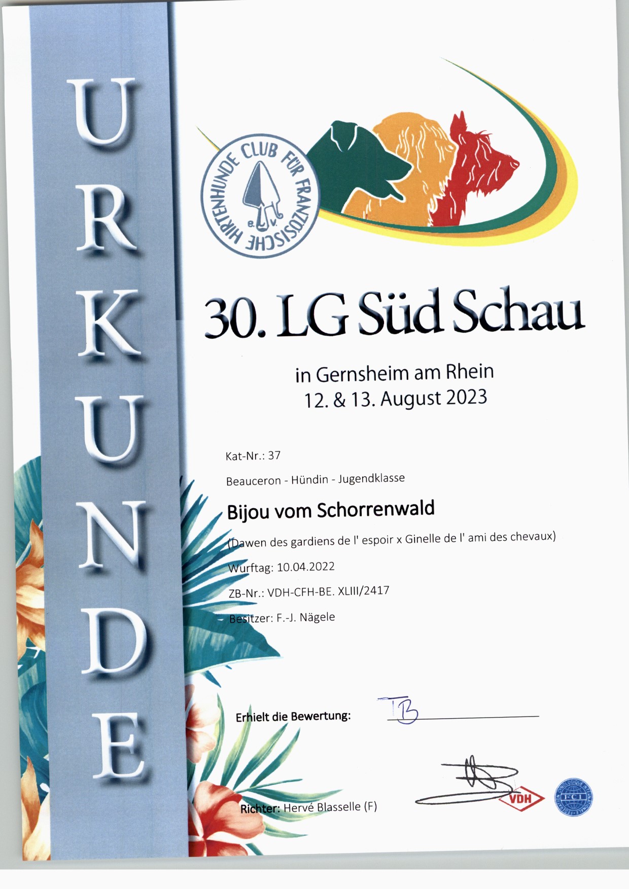 Zertifikate & Urkunden · 8