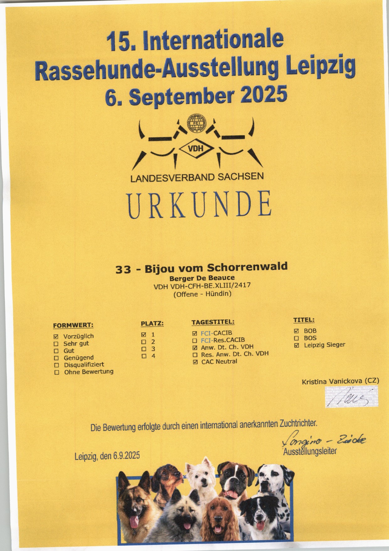 Zertifikate & Urkunden · 9