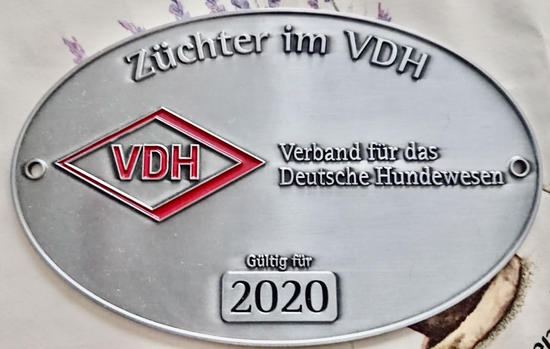 Zertifikate & Urkunden · 12